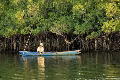Pêcheur au milieu de mangroves - Sénégal
