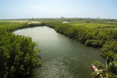 Fleuve Gambie - Gambie