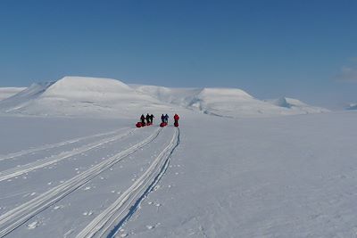 Sur les traces de l'ours