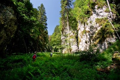 Randonnée aux gorges de Pokljuka - Slovénie