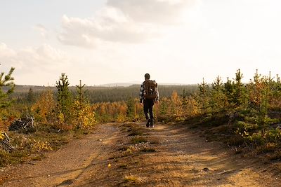 Randonneur sur sentier de montagne, Gällivare, Laponie, Suède