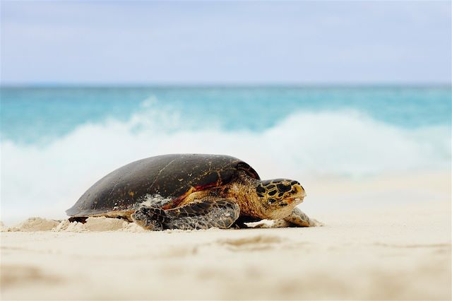 Découverte Seychelles
