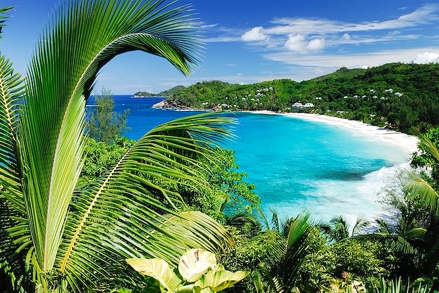 Baignade - Snorkeling Seychelles