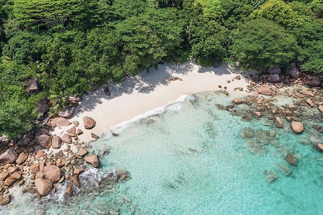 Baignade - Snorkeling Seychelles