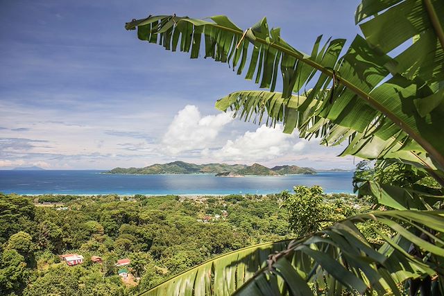 Baignade - Snorkeling Seychelles