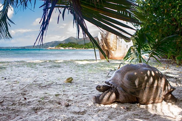 Multi-activités Seychelles