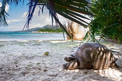 Echappée belle en famille aux Seychelles