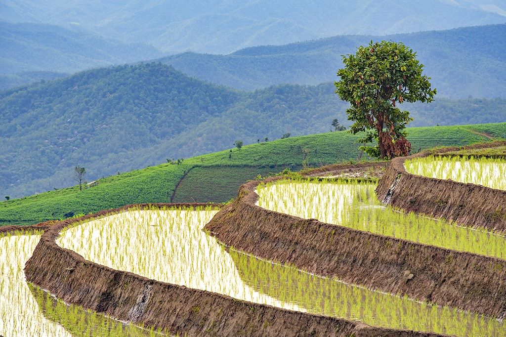 Découverte Thailande