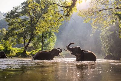 Charme et traditions: le nord Thaïlandais en lodge