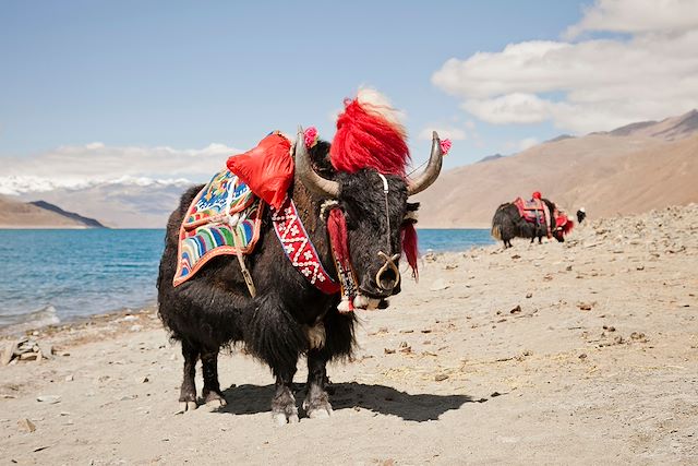 Découverte Tibet