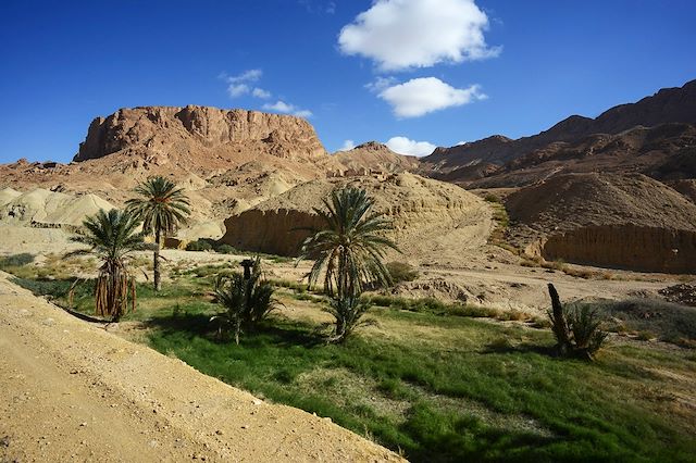 Randonnée avec chameau Tunisie