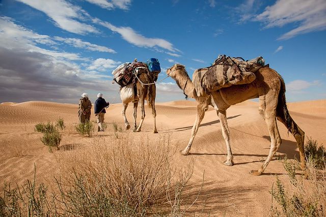 Randonnée avec chameau Tunisie