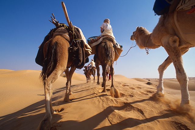 Découverte Tunisie