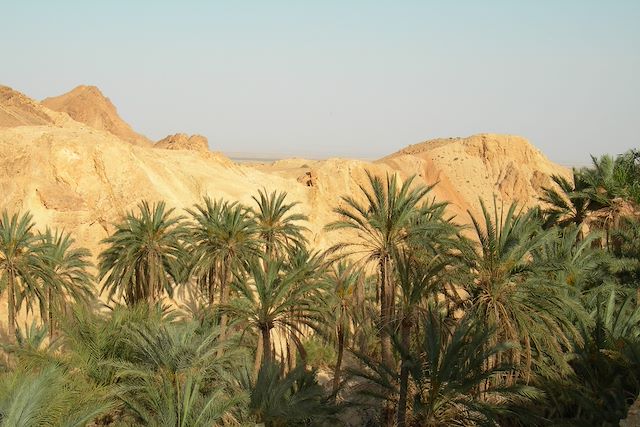 Découverte Tunisie