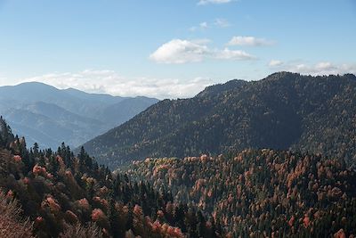 Parc national de Yedigöller - Turquie
