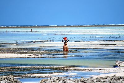 Zanzibar