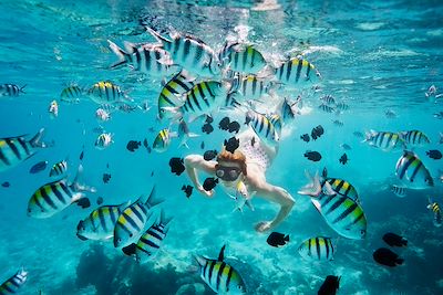 Plongée sous marine - Zanzibar - Tanzanie