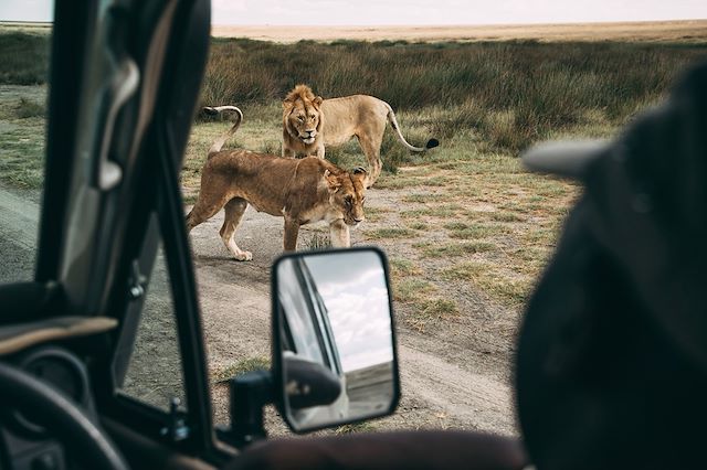 Safari Tanzanie Ngorongoro