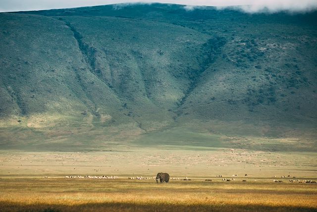 Randonnée Tanzanie Lac Manyara