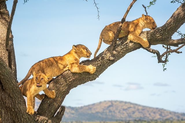 Randonnée Tanzanie Lac Manyara