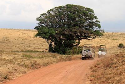 Sentier du Serengeti - Tanzanie