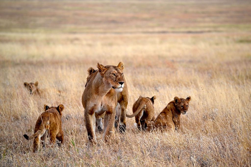 Voyage Tarangire