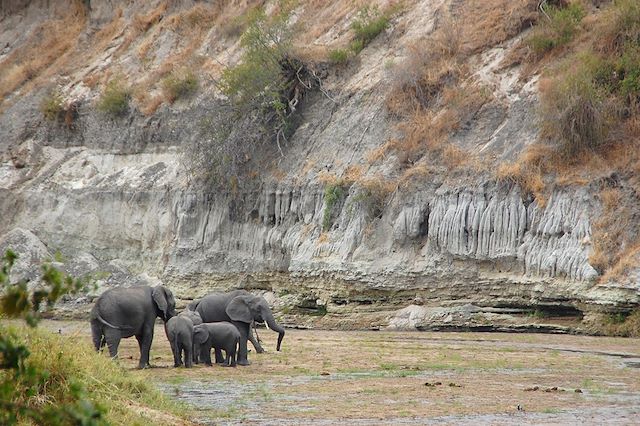 Safari Tanzanie Ngorongoro