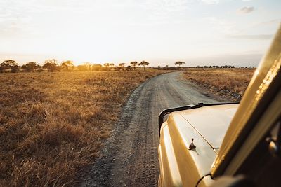 Safari dans le bush tanzanien - Tanzanie