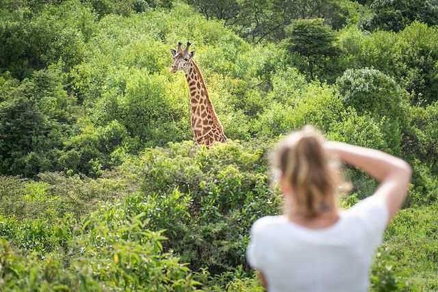 Safari en véhicule Tanzanie Parcs Nationaux du Nord