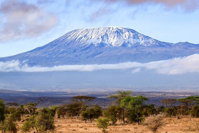 Safari en véhicule Tanzanie Parcs Nationaux du Nord