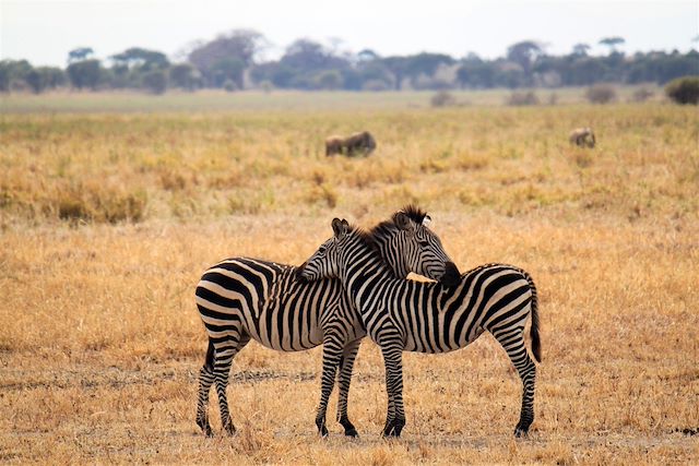 Safari Tanzanie Vallée du Rift