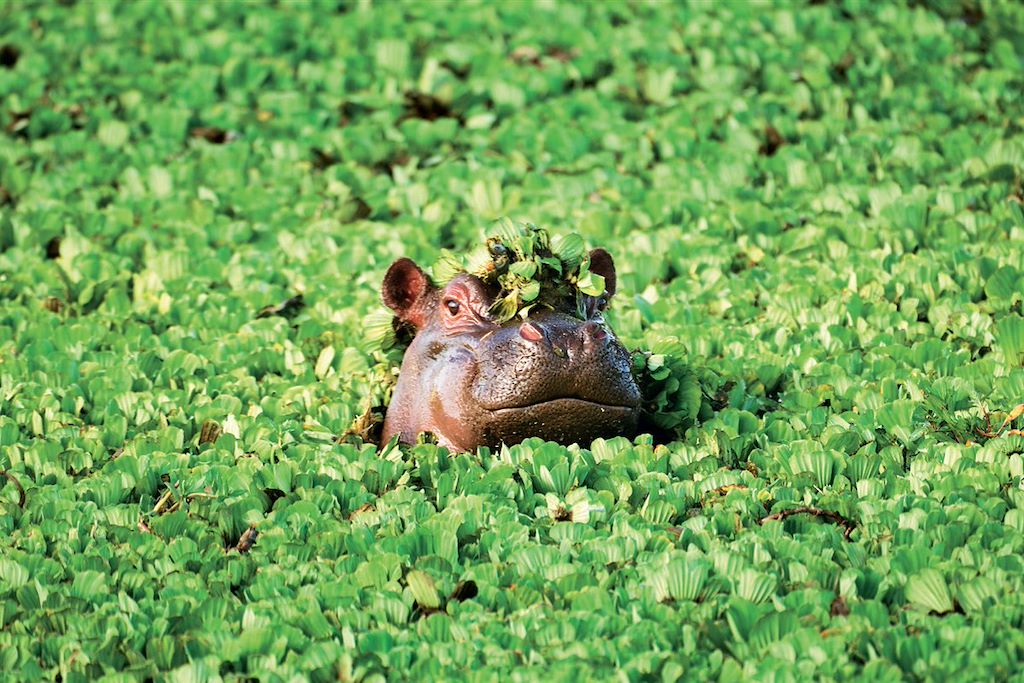 Voyage Ngorongoro