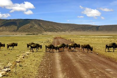 Le massif du Ngorongoro - Tanzanie