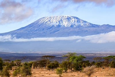 Kilimandjaro, voie Machame (5895m)