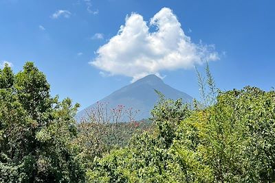 Volcan - Ouganda