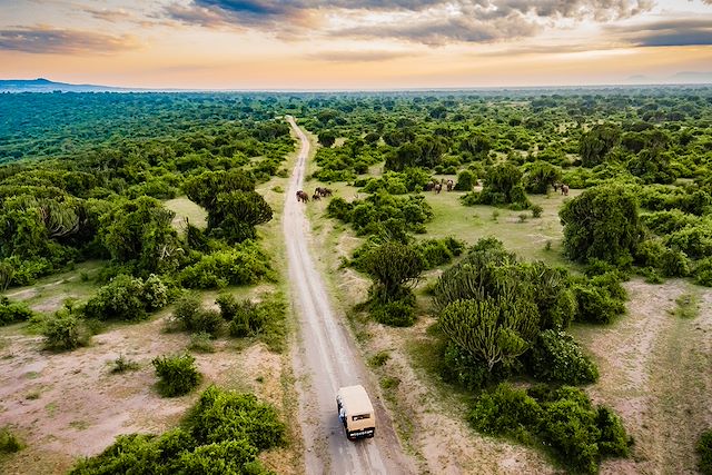 Safari Ouganda