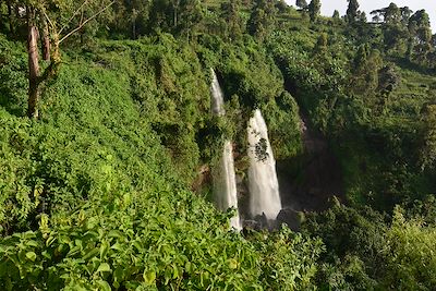 Chutes de Sipi - Ouganda