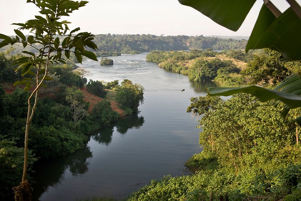 Safari Ouganda