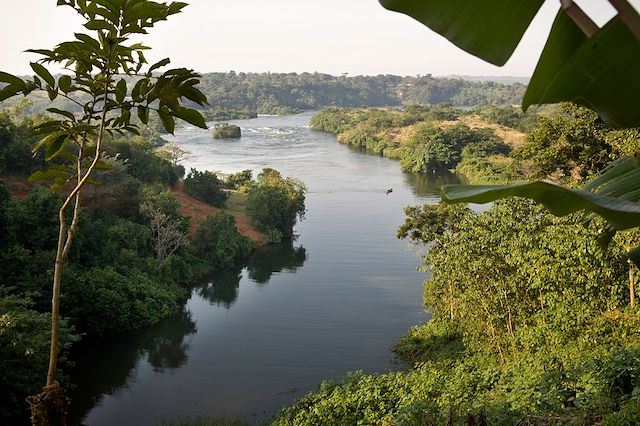 Safari Ouganda