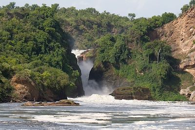L'Ouganda : un trésor à explorer !