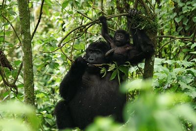 L’Ouganda, un condensé d’émotions