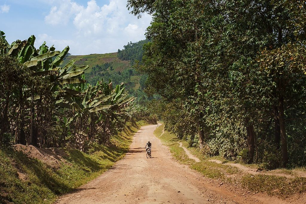 Vélo