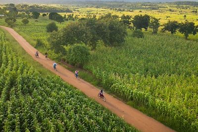 Vélo en Ouganda