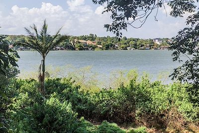 Jardin botanique - Entebbe - Ouganda