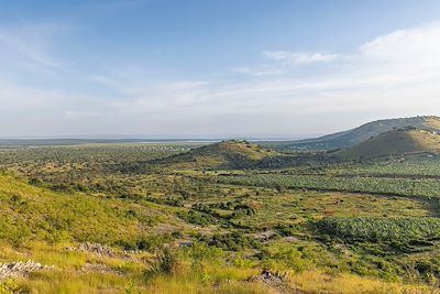 Parc national du lac Mburo - Ouganda