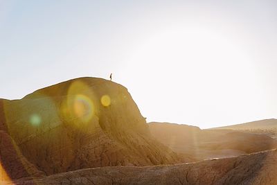  Anza Borrego Desert