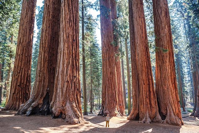 Autotour Etats-Unis Parcs de l'ouest et Rocheuses