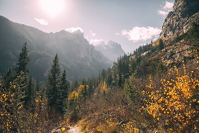 Parc national de Grand Teton - Wyoming - Etats-Unis