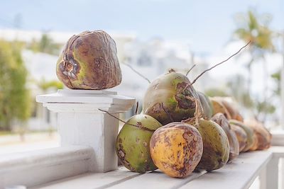 Noix de coco fraîche - Floride - Etats-Unis