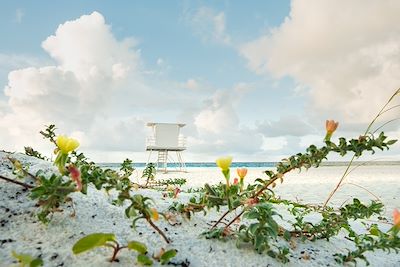 La plage Pensacola - Floride - Etats-Unis